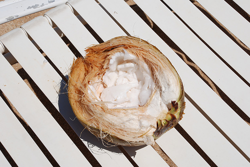 coconut