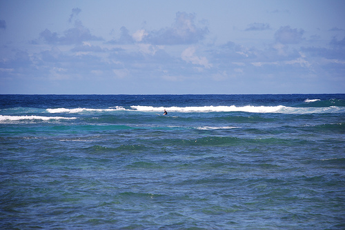 scott in surf