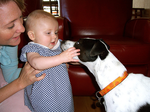 girl and her dog