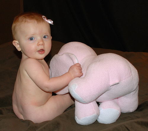 Elsie and Elephant