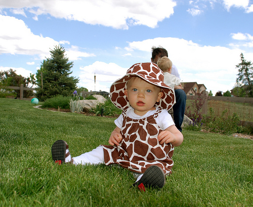 in the grass