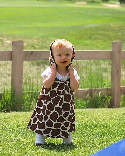 little giraffe