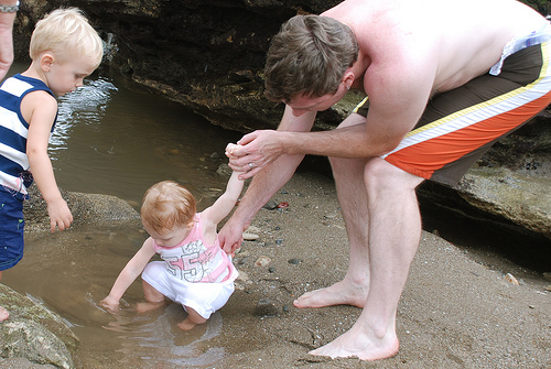 tide pools